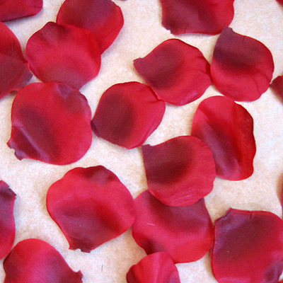 100 Rosenblätter Rot Bordeaux